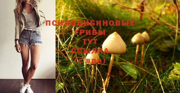 винт Белоозёрский
